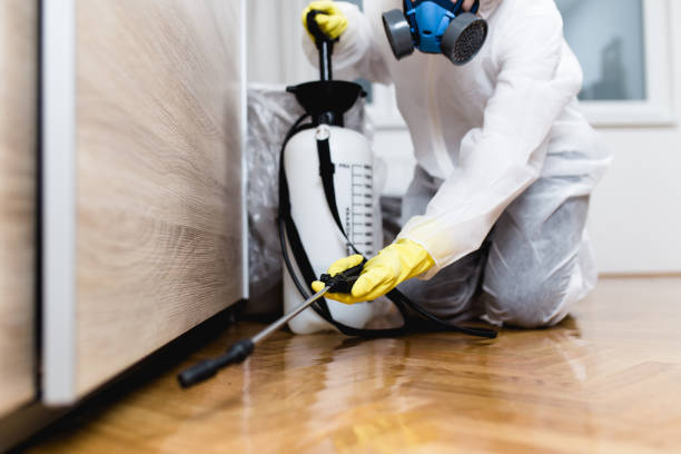 Best Mosquito Control Services  in Lolo, MT