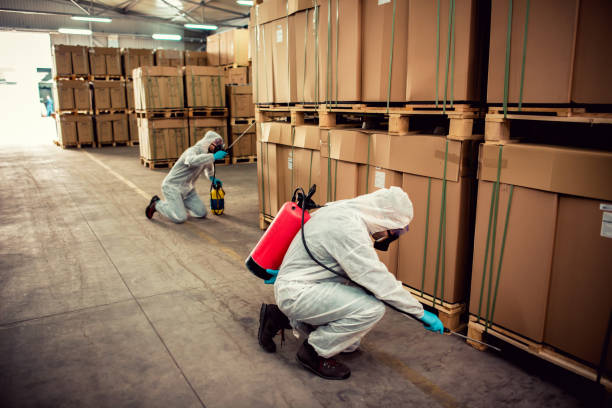 Pest Prevention Services in Lolo, MT