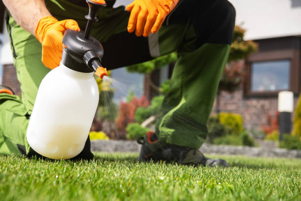 Best Wildlife Control Services  in Lolo, MT